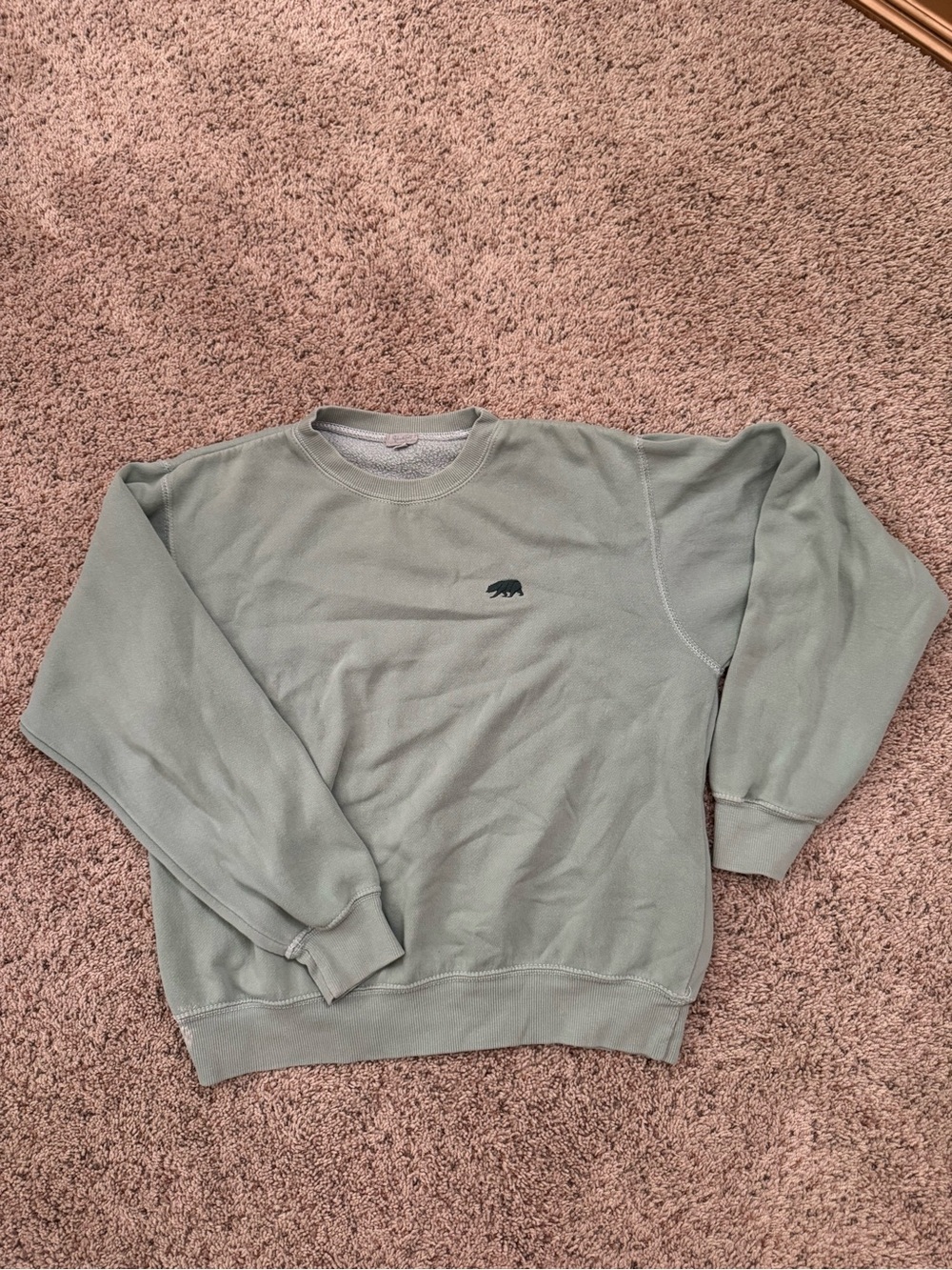 Brandy Melville Sage Green Crewneck